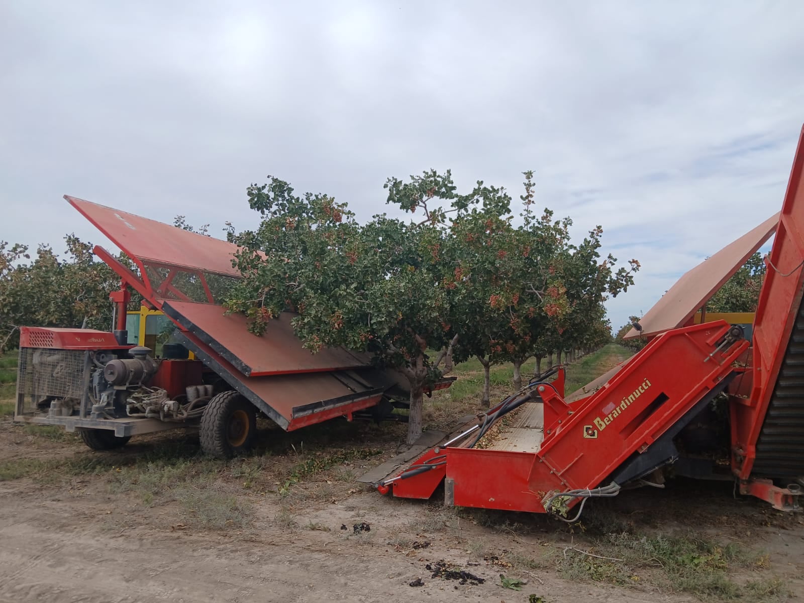 Más del 10% de los productores locales ya iniciaron el camino de la transformación