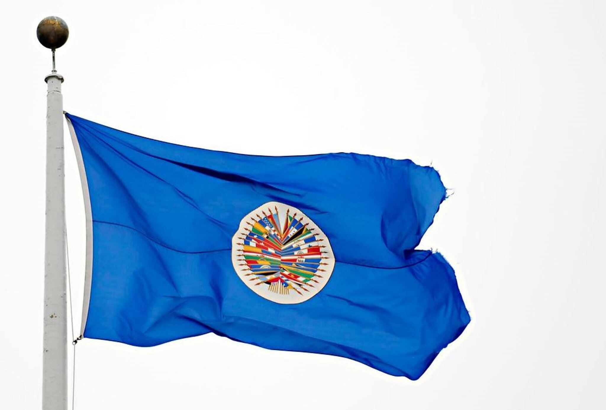 El Día de las Américas conmemora la creación de la OEA
