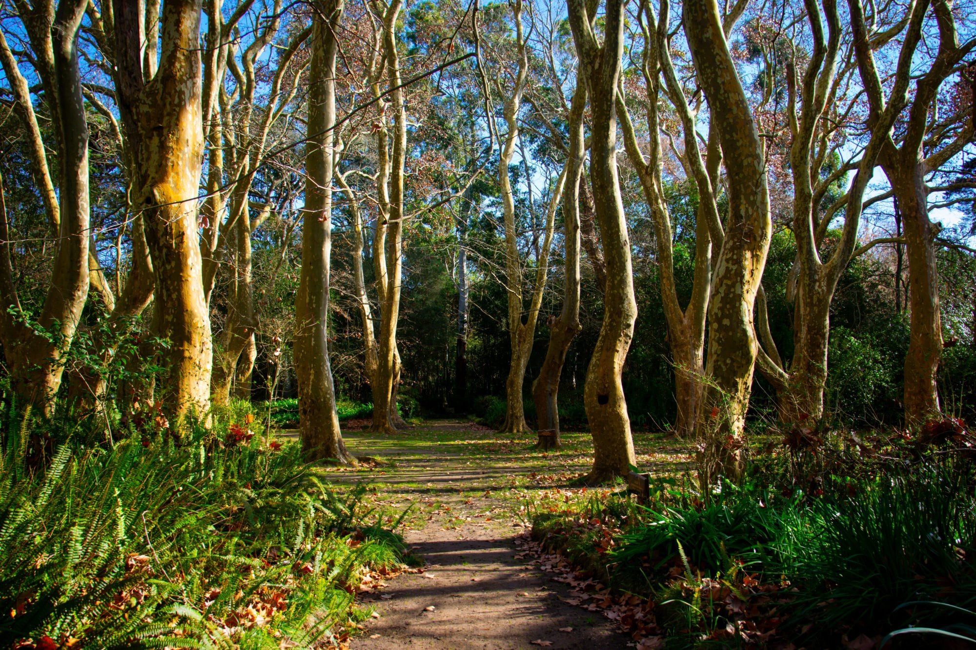 El origen se remonta al 16 de octubre de 1921