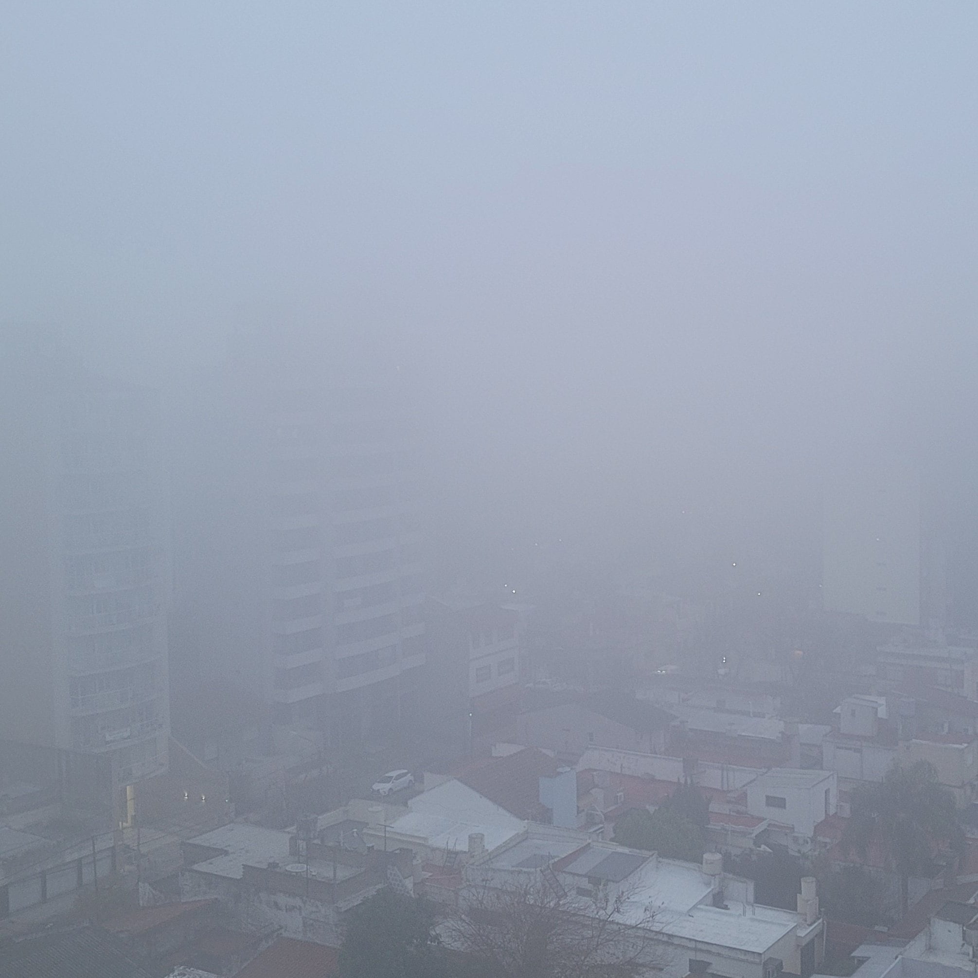 La niebla de esta mañana redujo fuertemente la visibilidad (X: @marina_bertone)