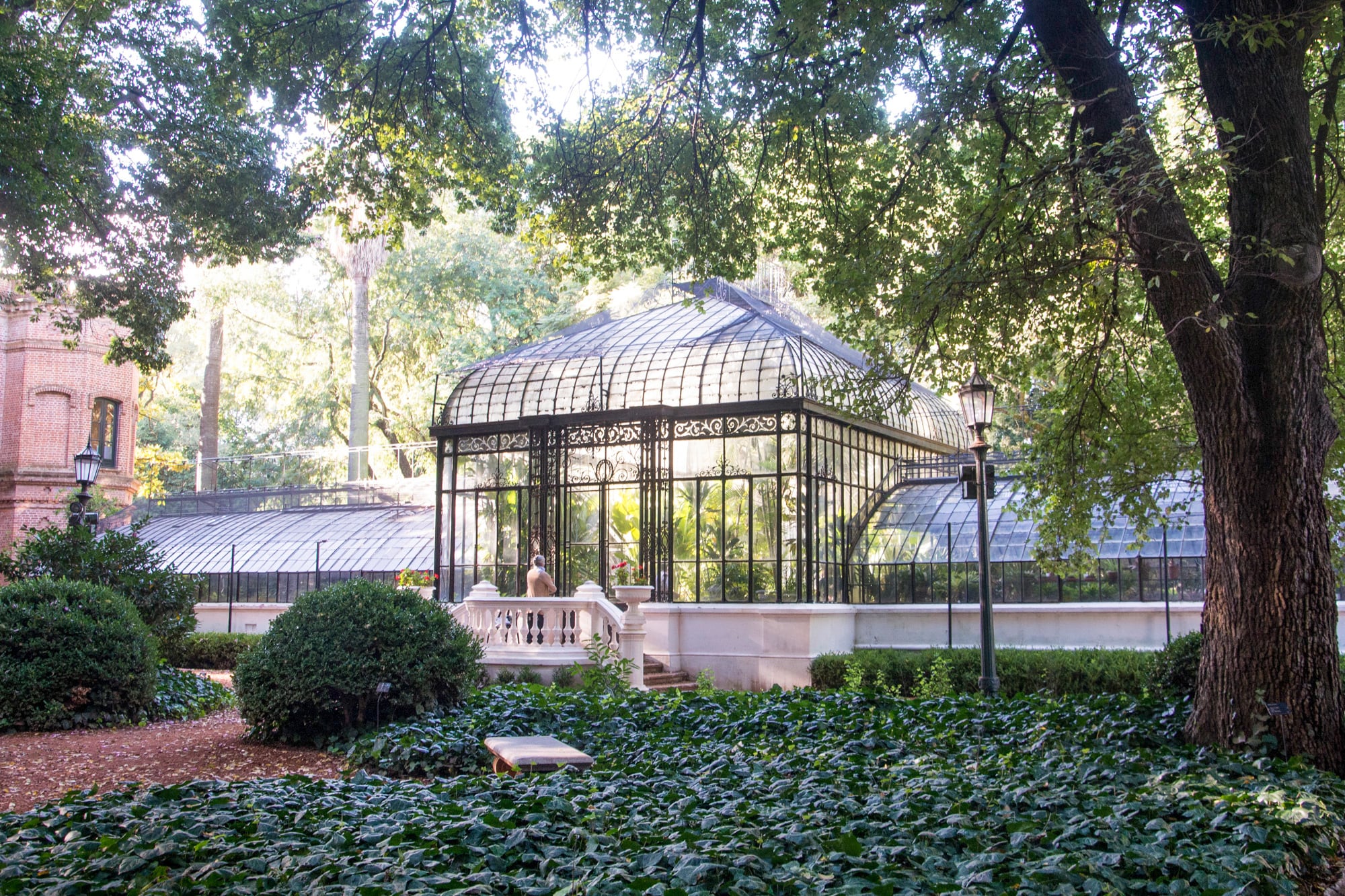 El amplio invernáculo principal del Jardín también fue puesto a punto