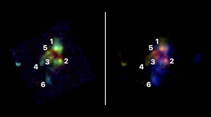A la izquierda, en tonalidad verde, las galaxias detectadas. A la derecha, las estructuras de gas en color azul. La número 2 es la radiogalaxia identificada
