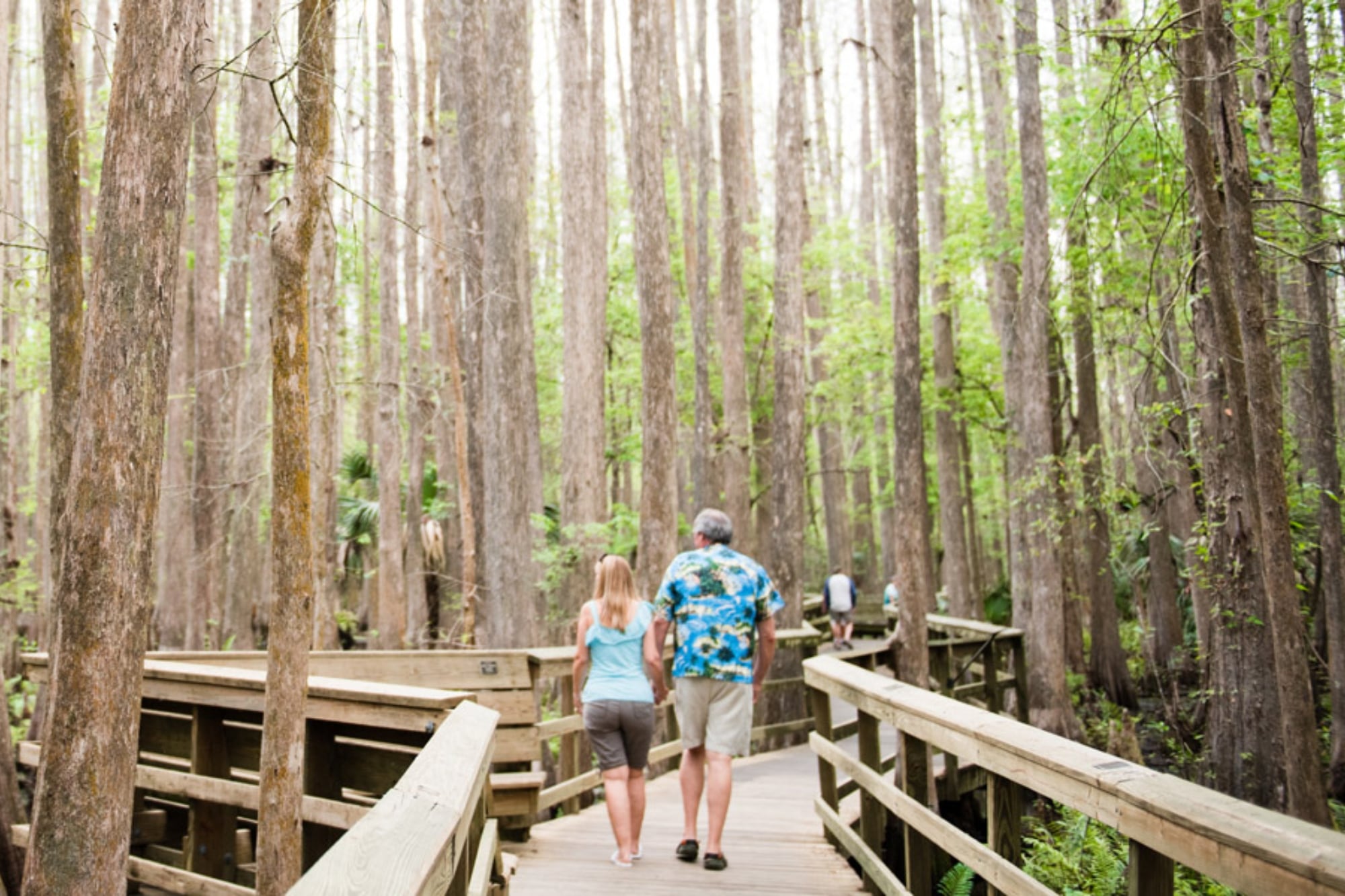 La ciudad, a dos horas de Orlando, que es perfecta para jubilarse en 2026 con poco dinero