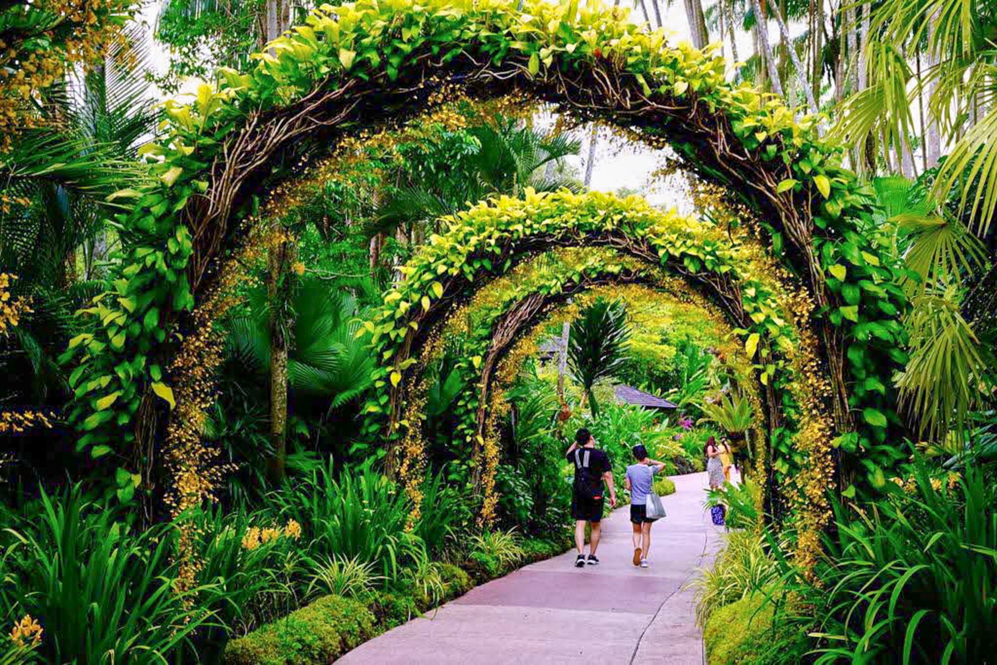 El National Orchid Garden en el Jardín Botánico de Singapur