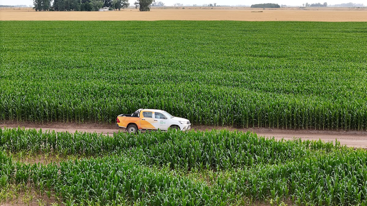 Maximiza tu cosecha con INFINIA DIESEL: el combustible estratégico para el agro