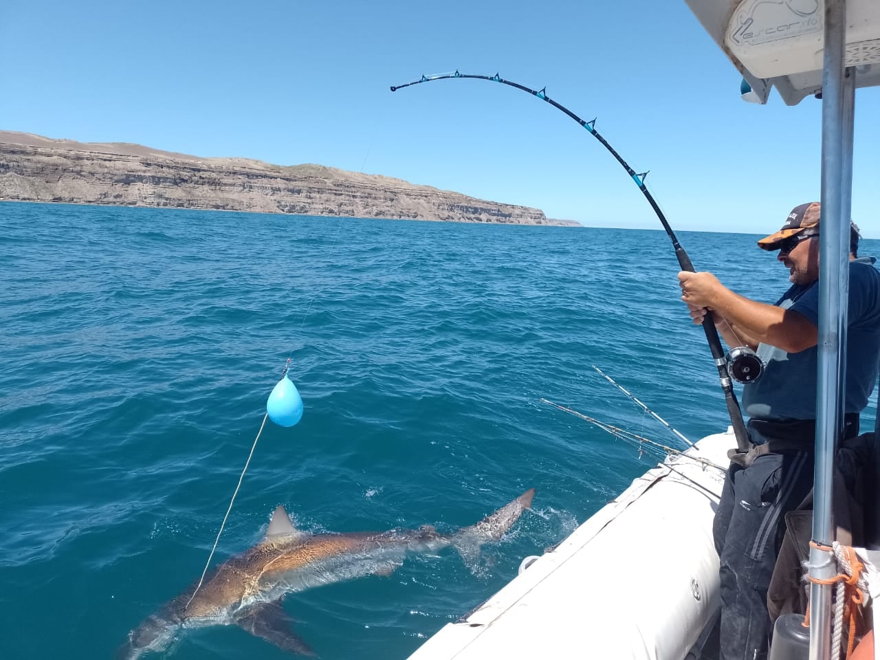 “La iniciativa surge porque los grandes tiburones costeros son un objetivo histórico de la pesca deportiva y eso genera impacto en las especies, con alta mortalidad, incluso en áreas marinas protegidas”, comenta Juan Martín Cuevas.