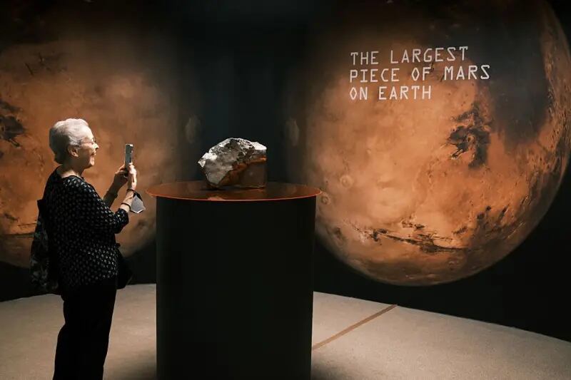 En julio, un meteorito marciano descubierto en Níger fue subastado por más de US$4 millones en Nueva York