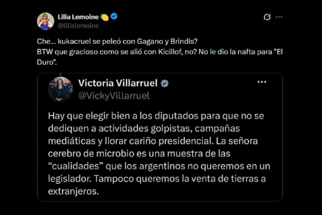 Lemoine apodó a la vicepresidenta como