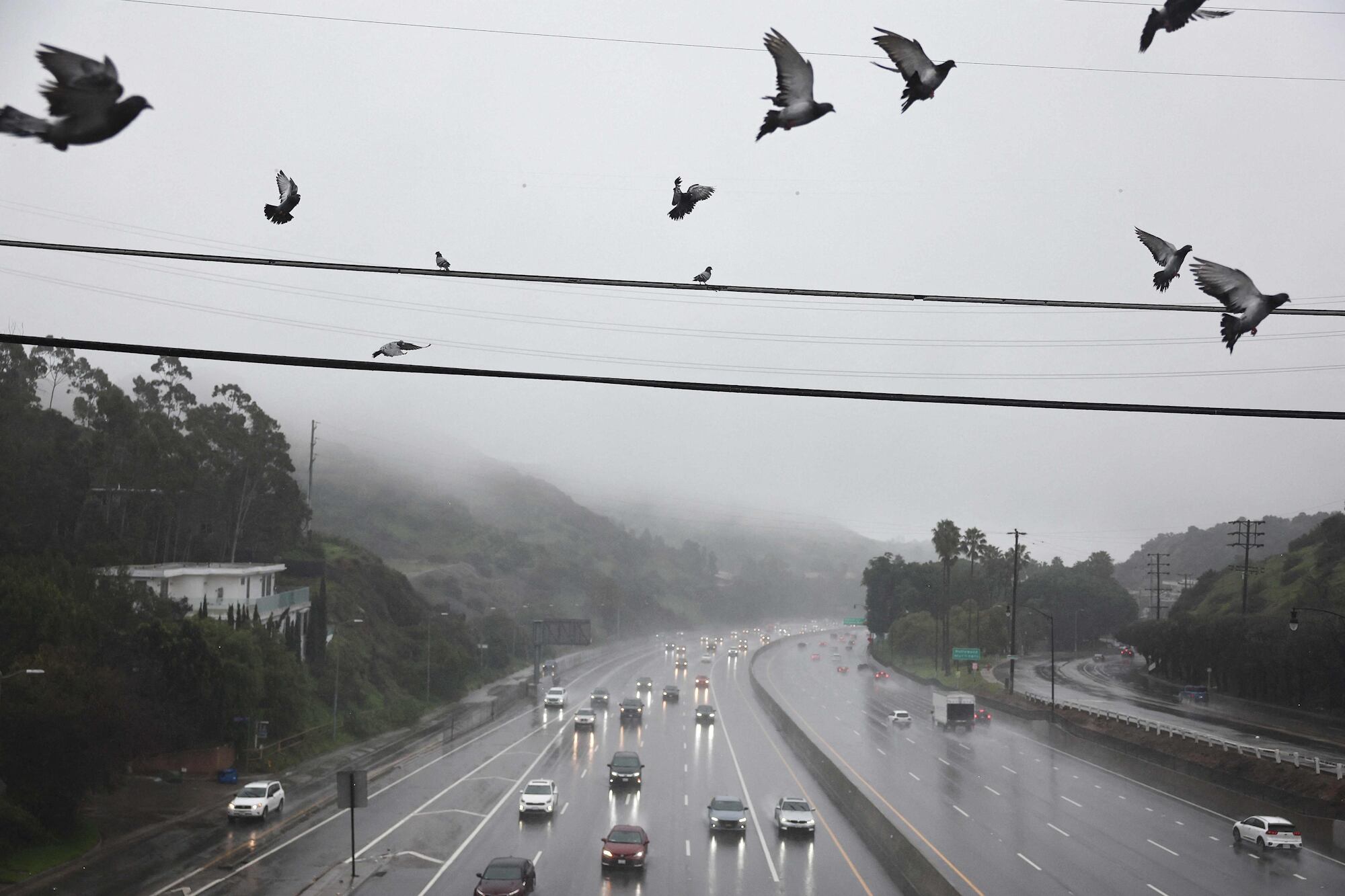Los científicos explicaron qué significa oler cuando va a llover