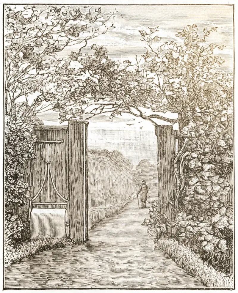 Charles Darwin en el jardín de Down House, c. 1870, donde pasaba mucho tiempo paseando y reflexionando. Fue en en esa casa donde vivió 40 años y escribió sus obras más importantes, entre ellas