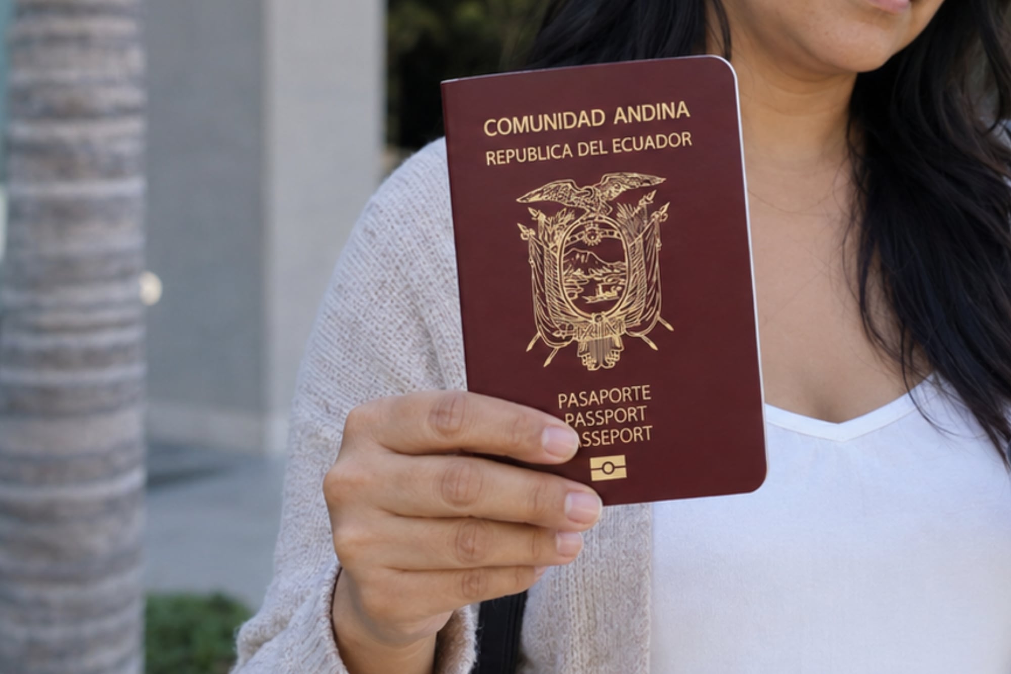 El documento tiene una vigencia de diez años