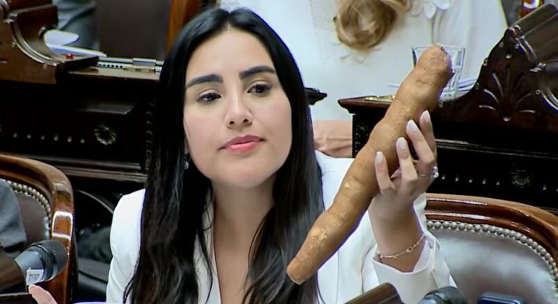La legisladora y su tubérculo en la Cámara baja
