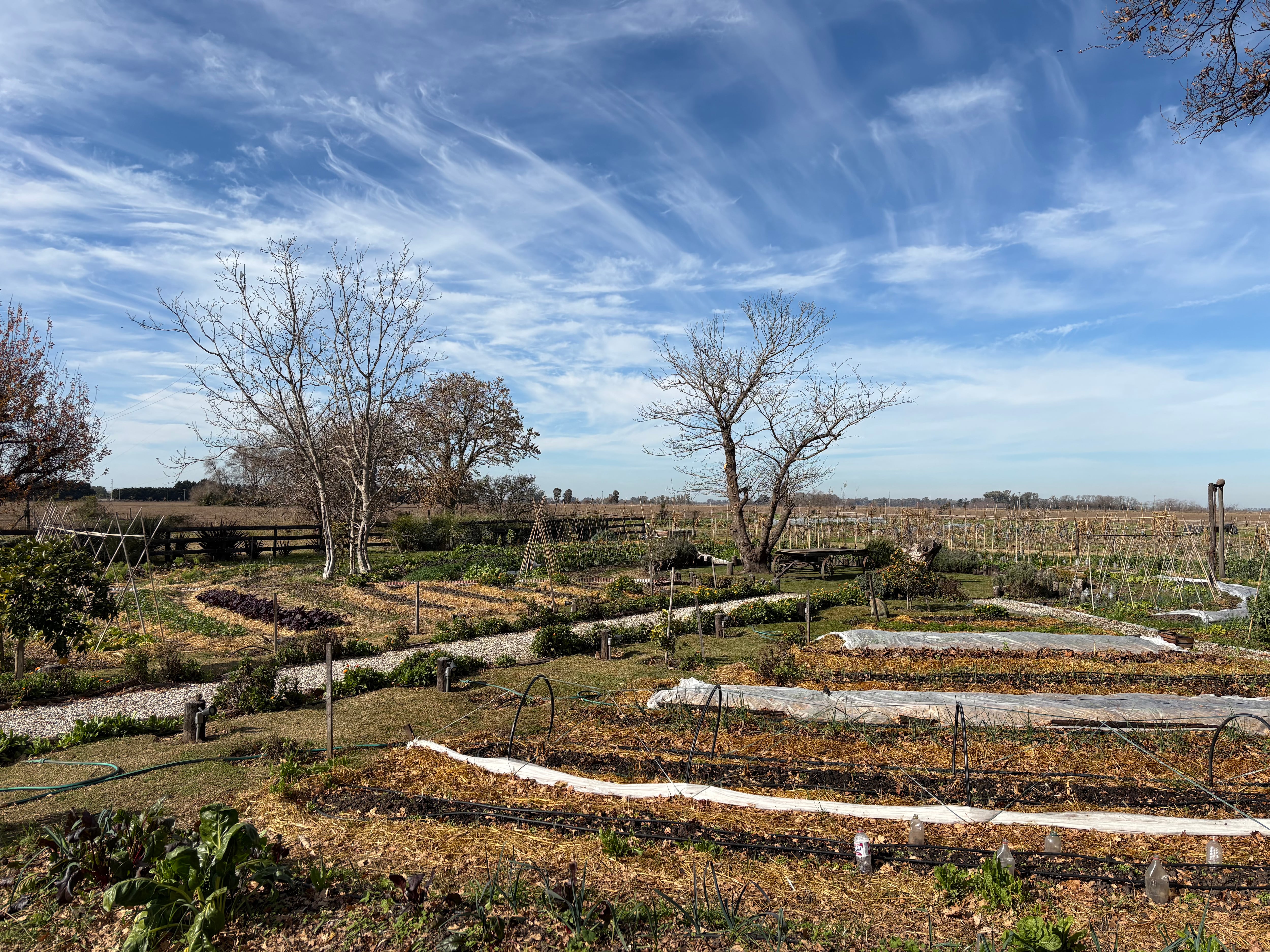 La huerta de Madre Tierra