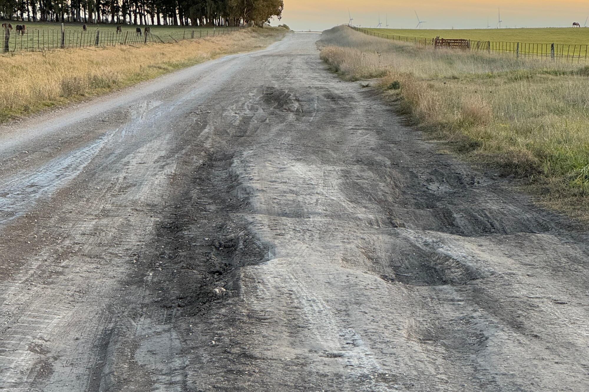 Uno de los caminos de la zona de Adolfo Gonzales Chaves