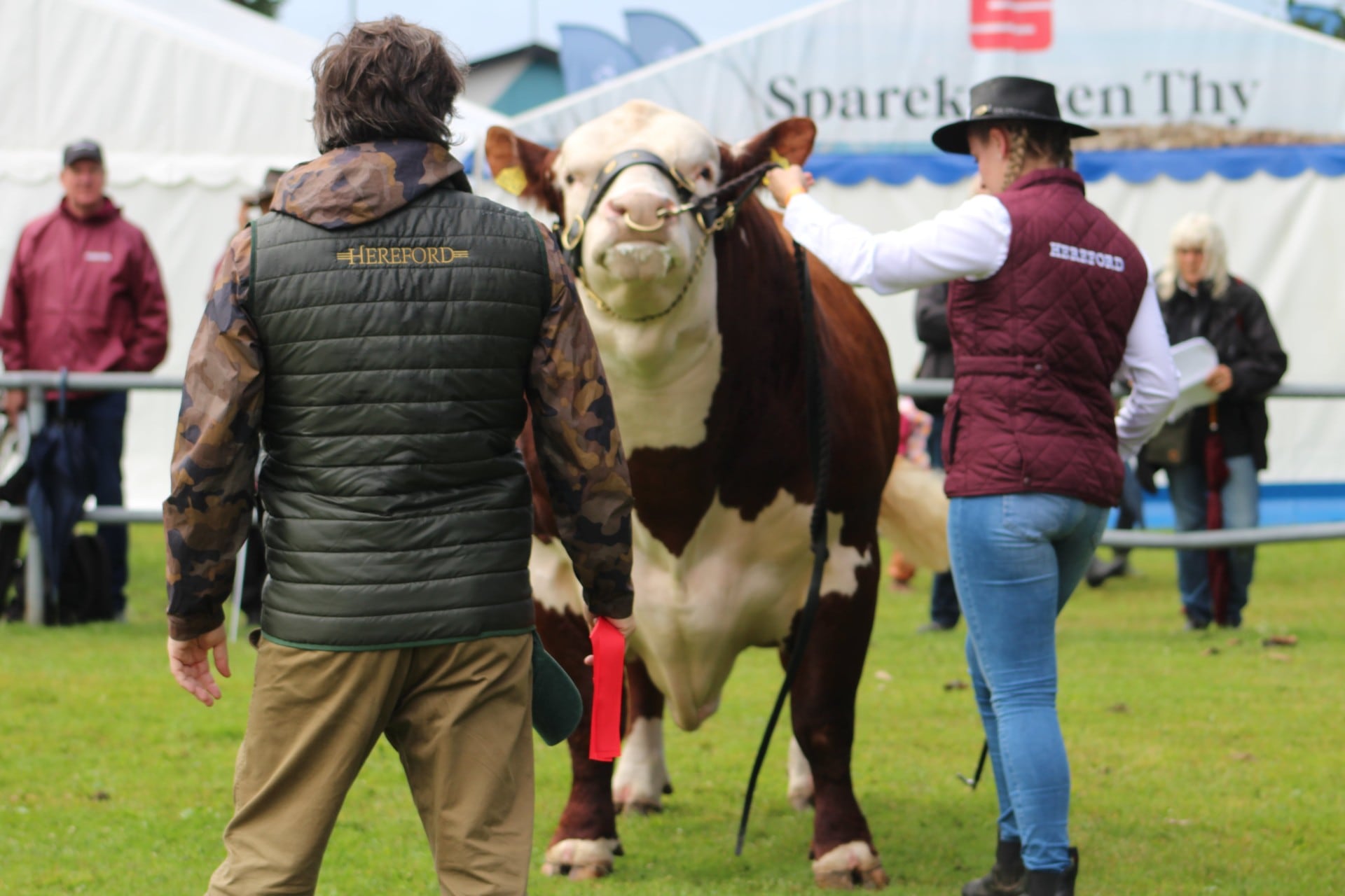 Como si fuera poco, ahora el cabañero fue elegido para ser jurado Angus junto a a William McLaren, secretario general de Angus mundial y; con PJ Butler, jurado y criador australiano con residencia en los Estados Unidos para el European Forum que se hace en mayo próximo en Rumania