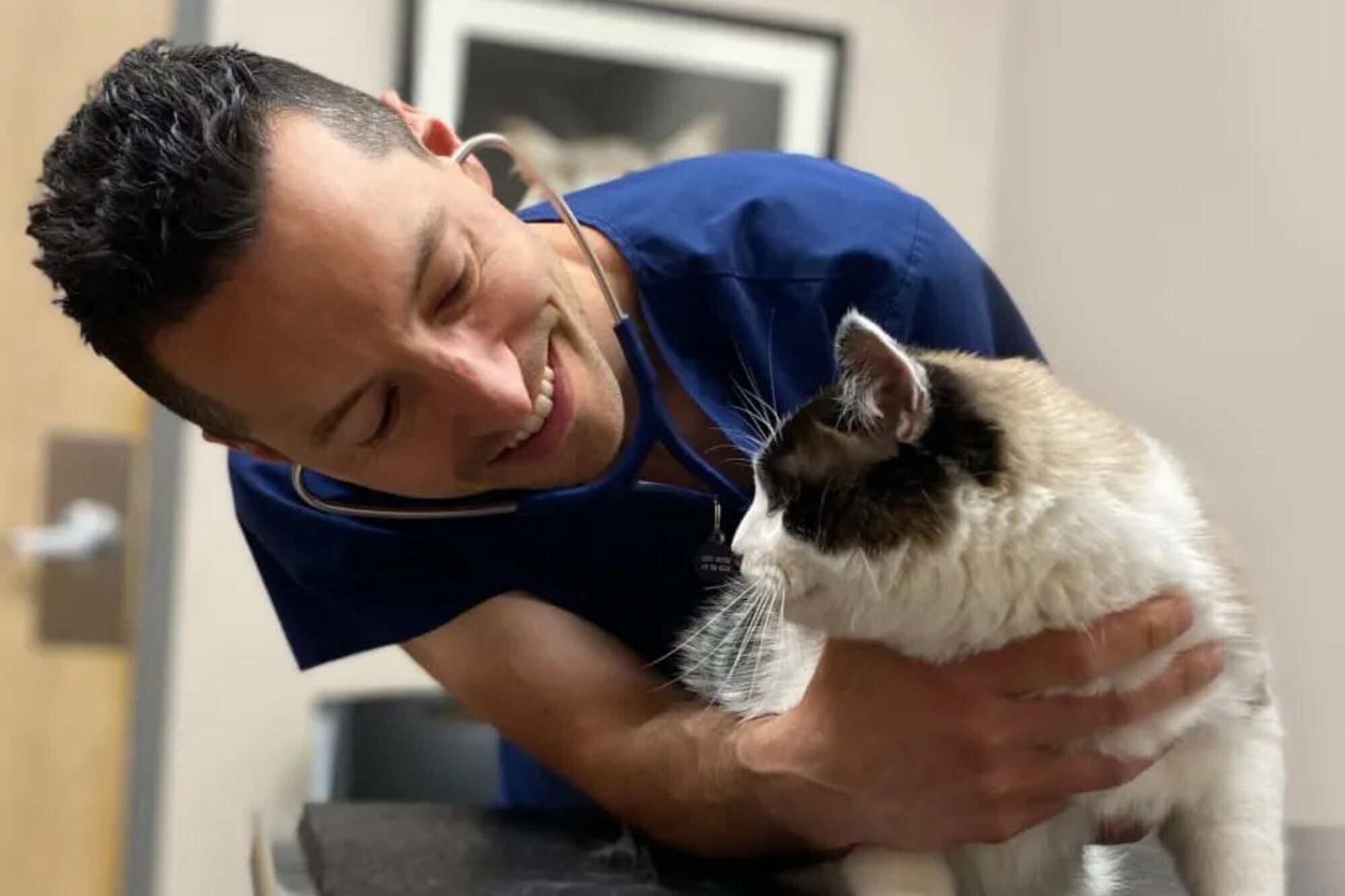 El fundador de la marca advirtió que los dueños de gatos deben acudir al veterinario para un diagnóstico