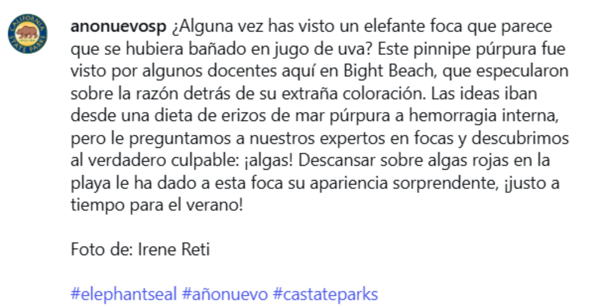 El mensaje de Año Nuevo State Park tras la aparición de la foca