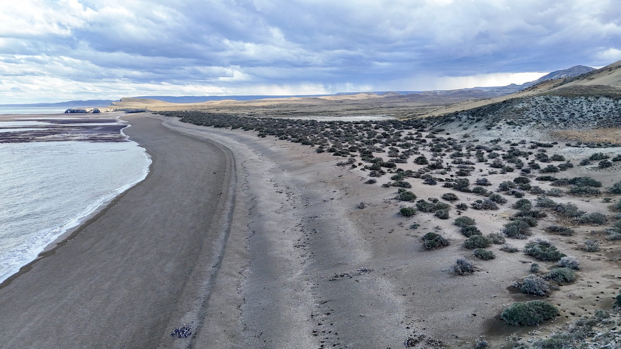 Según los miembros de la organización, los pinguinos de Magallanes no tienen las condicienes necesarias para sobrevivir al lugar donde se los quiere trasladar