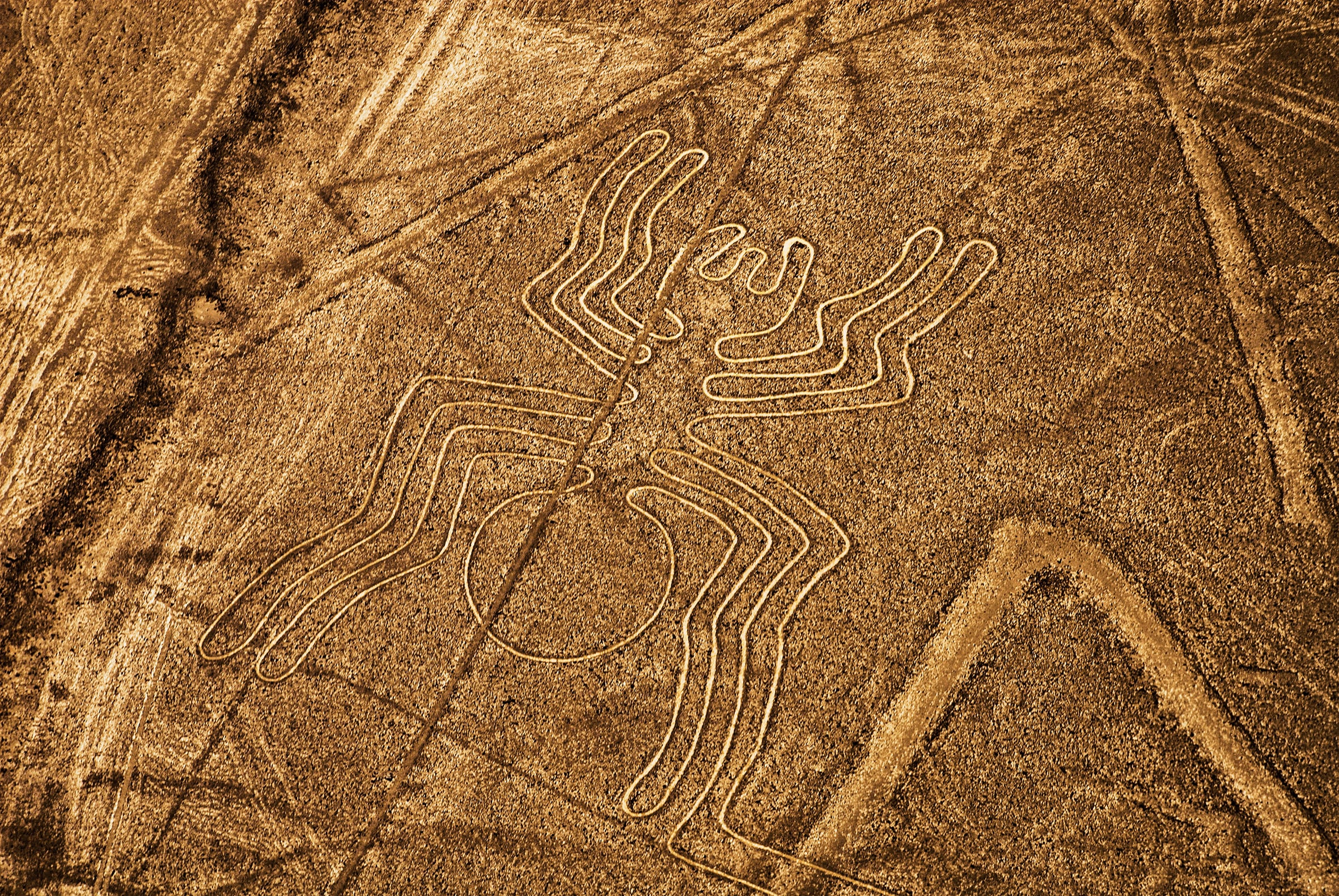 La Araña, reconocida figura de las Líneas de Nasca