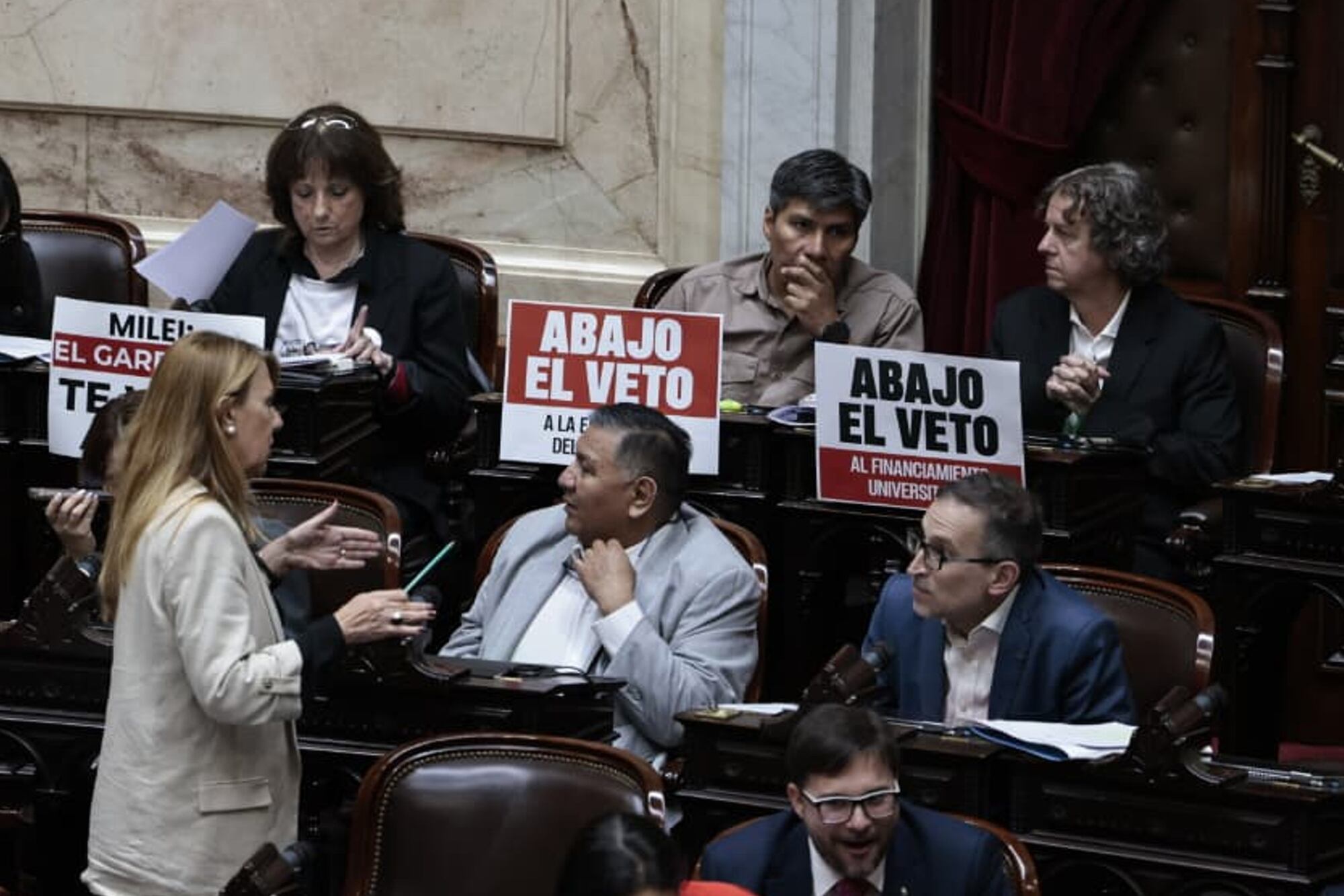 El bloque de la izquierda, con cartesl contra el veto de Milei