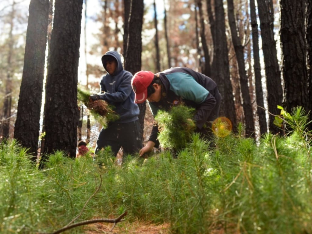 Seis meses después del incendio que arrasó Epuyén, una red de vecinos busca transformar la tragedia en prevención
