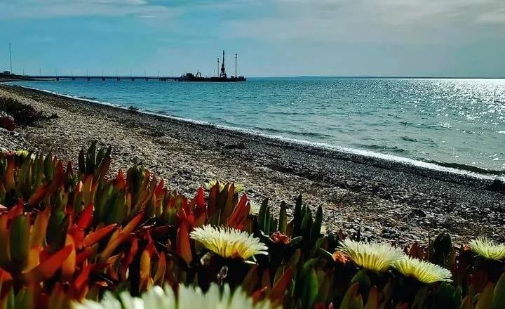 Desde el Puerto de San Antonio se puede ver el movimiento de los buques de exportación