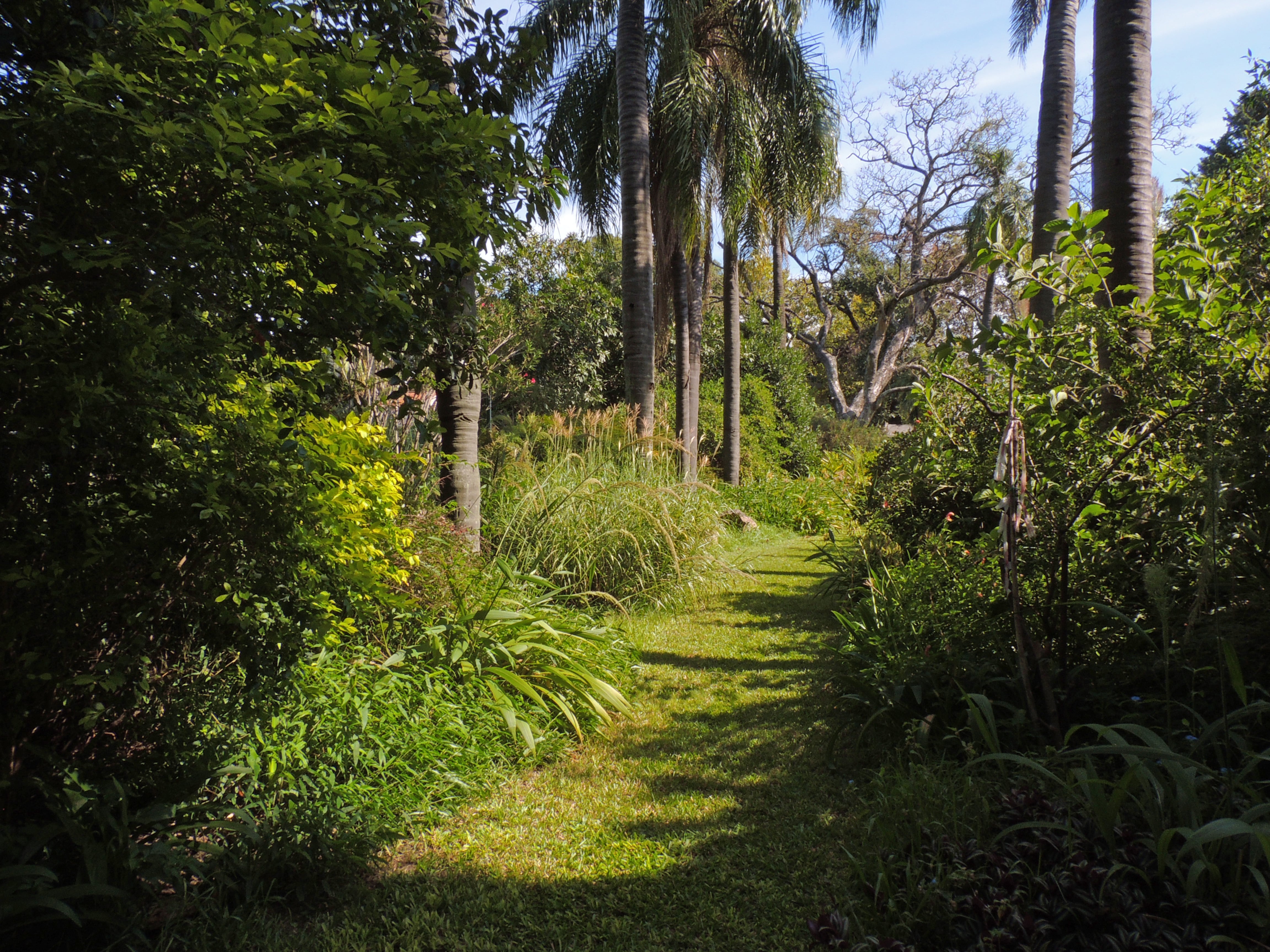 Escuela de Floricultura y Jardinería, la legendaria calle de las palmeras que recibía a personalidades.