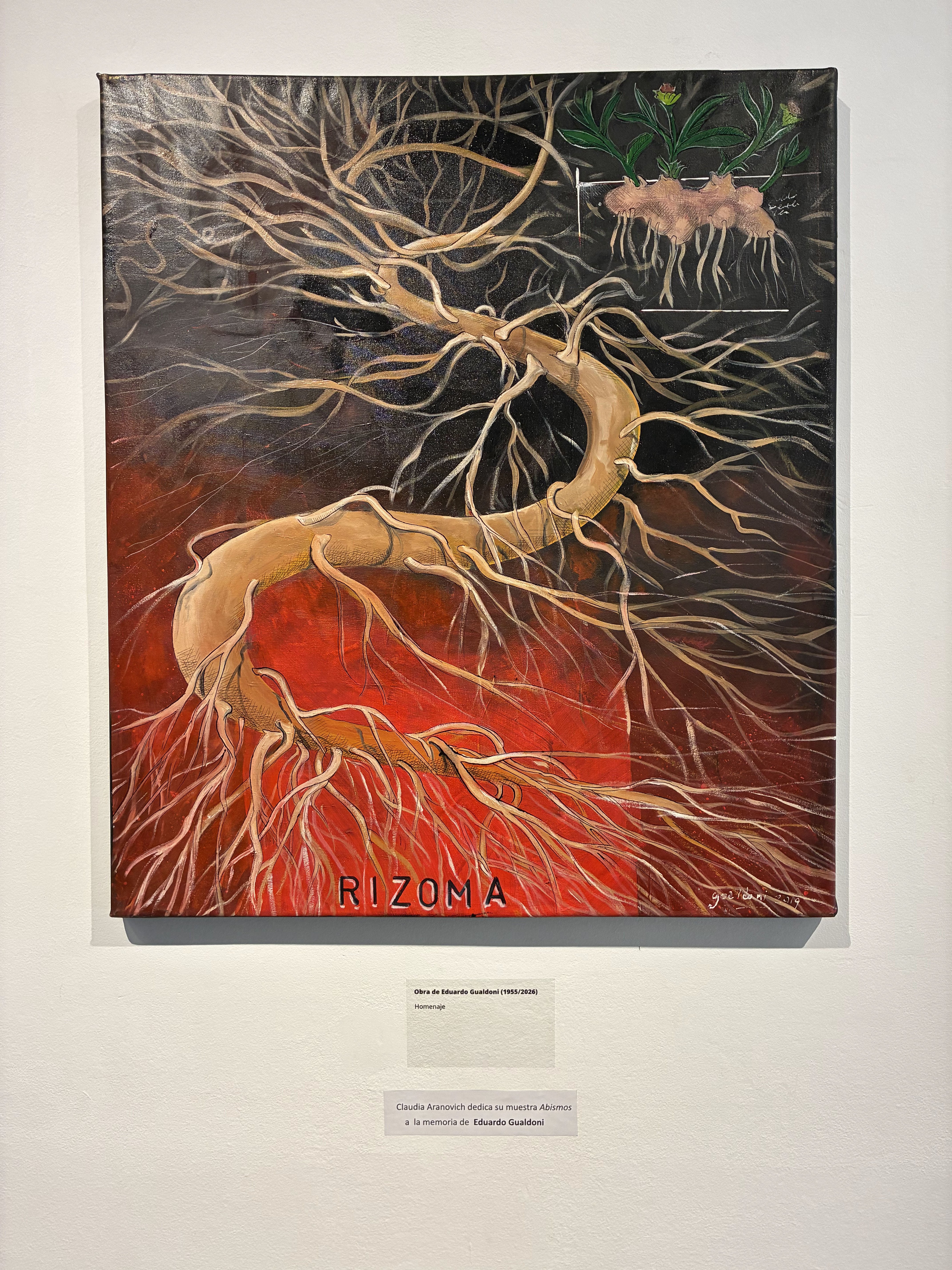 En la muestra de Aranovich en el Rojas se exhibe una pintura de Eduardo Gualdoni, su pareja, que falleció a finales de junio