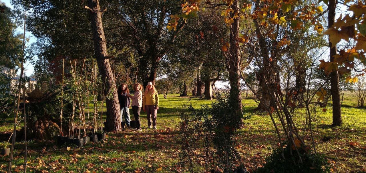 El proyecto nace de la fantasía de un grupo de amigos