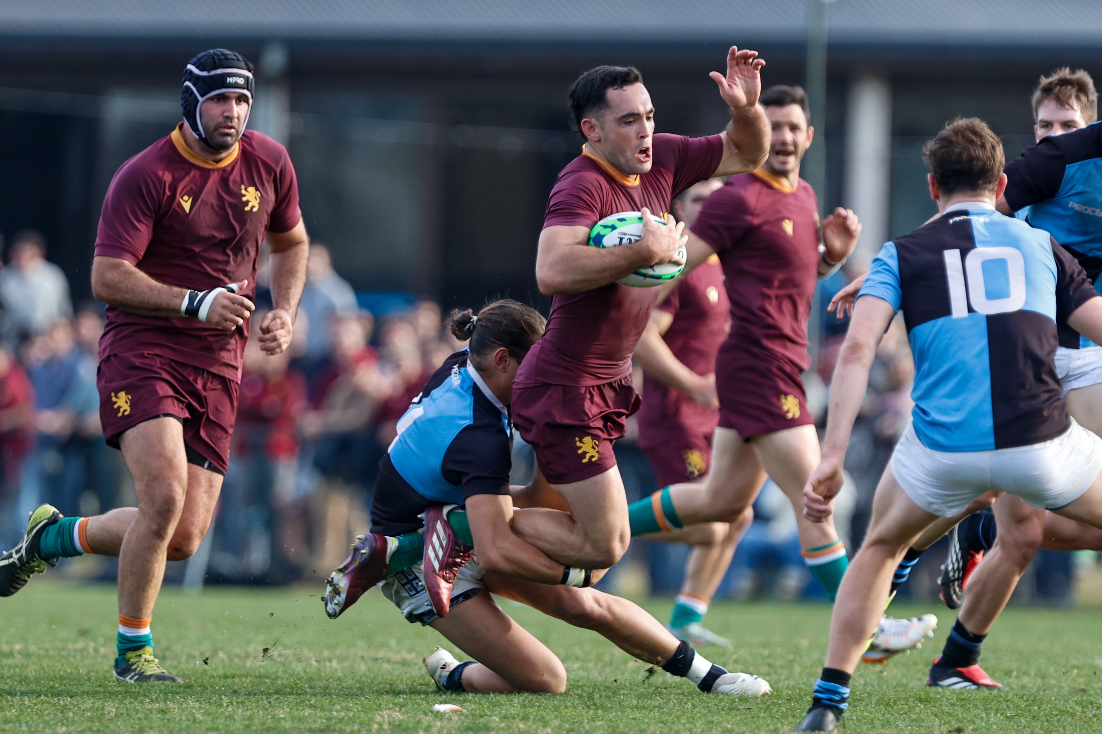 Newman venció a CUBA y estiró su ventaja en el Top 14 con el talento de Gonzalo Gutiérrez Taboada
