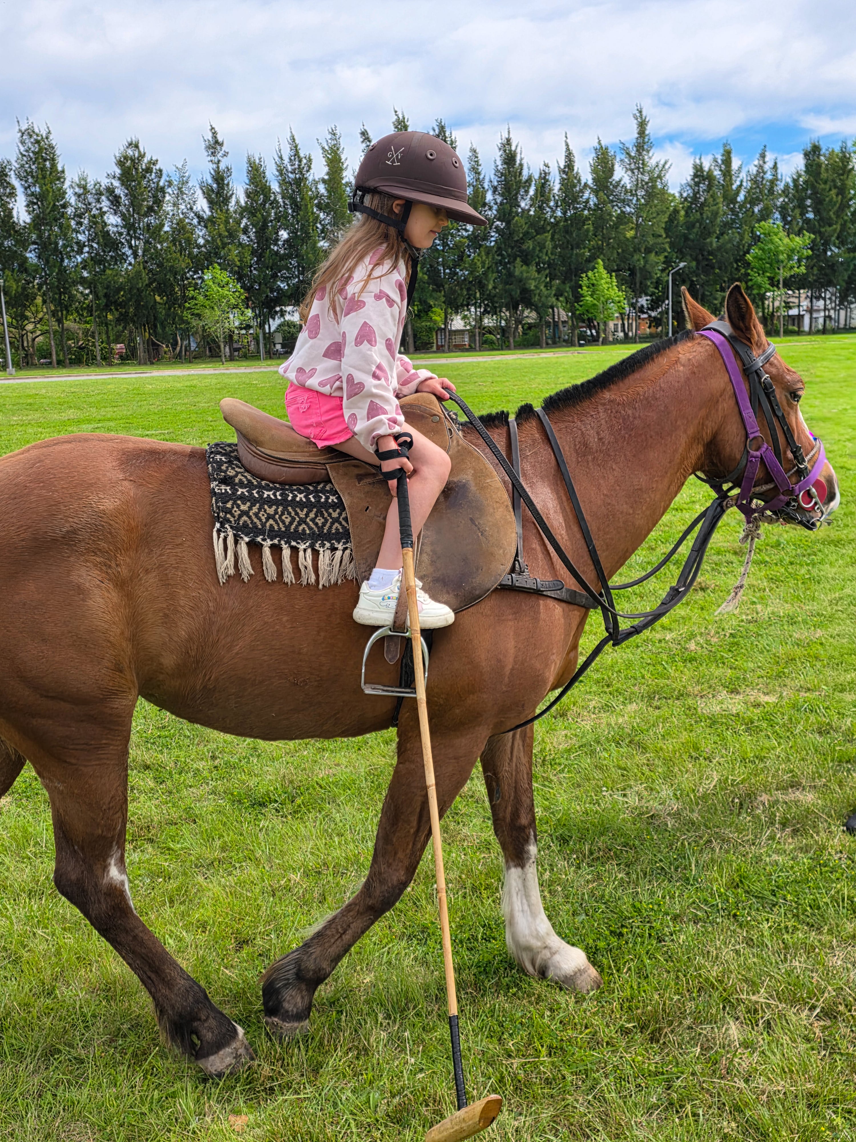 Hay caballos mansos para niños de todas las edades