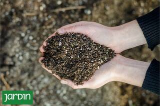 Conocé cuántos tipos de sustratos hay y para qué sirve cada uno