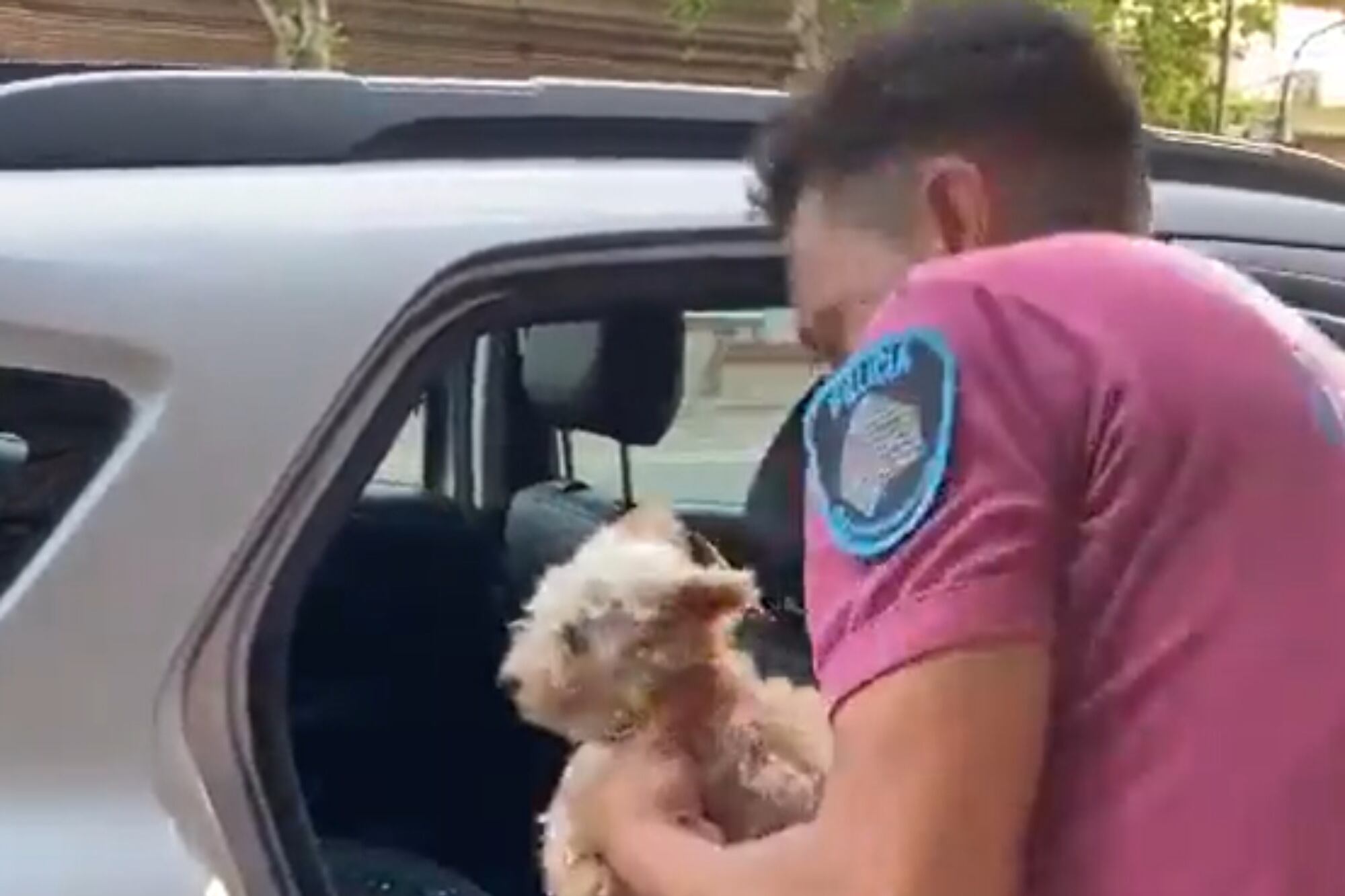 El perro quedó encerrado cuando las temperaturas rozaban los 38 grados