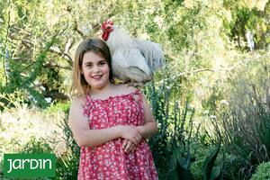 Por qué es necesario tener gallinas en tu jardín y qué razas se recomiendan