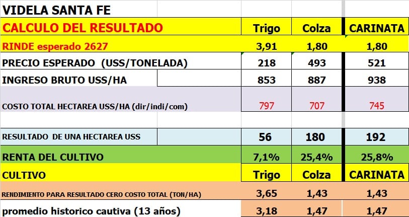 Margen del trigo en Videla