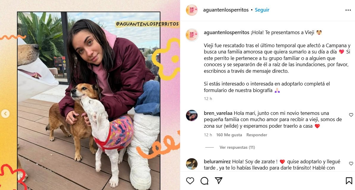 La descripción de Vieji, una de las mascotas rescatadas