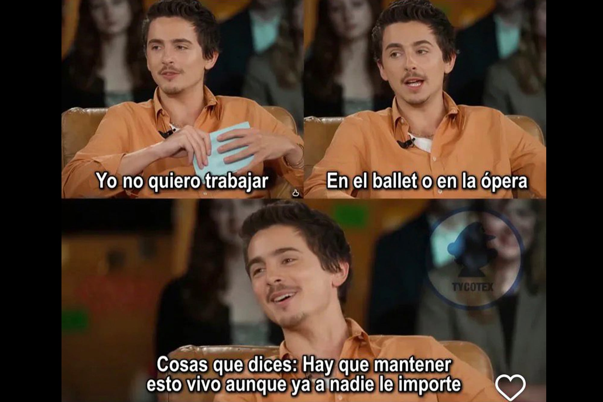 ¡Nada me desanima, Timothée!