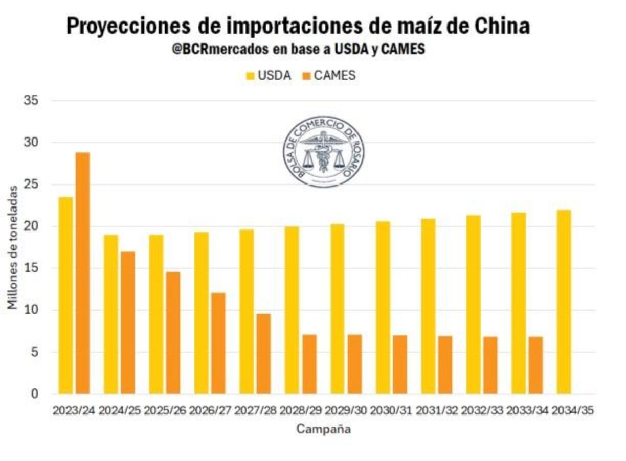 En lo que respecta al maíz, para la campaña 2034/35, el USDA proyecta que China, importe 21,9 millones de toneladas de maíz, lo que refleja una caída de cerca del 7% respecto del máximo alcanzado en la 2023/24