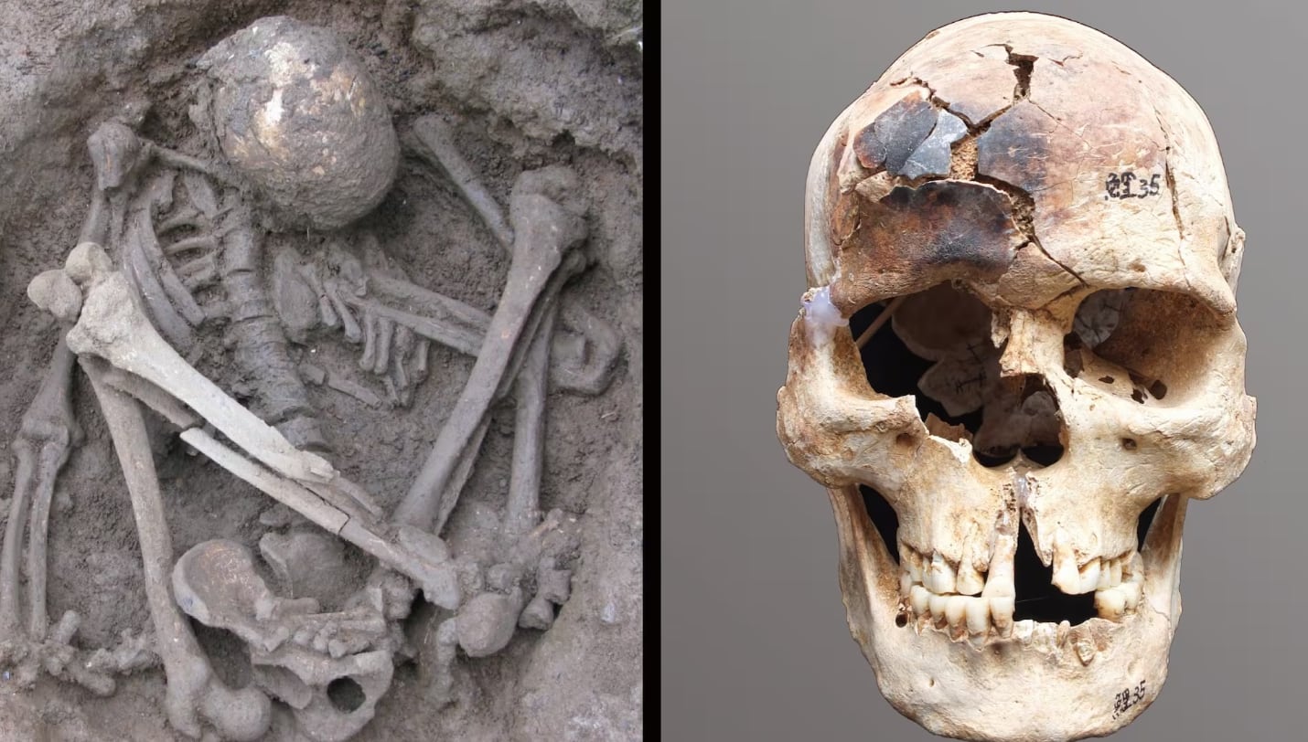 Las momias llaman la atención de la comunidad científica desde hace décadas (Foto: PNAS)