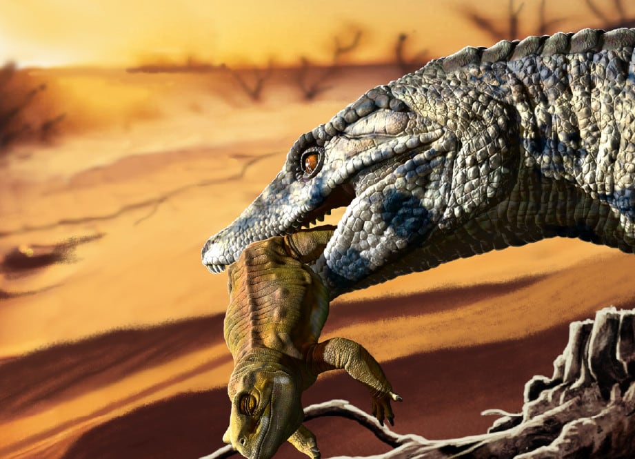 Adaptado a tierra firme: identifican en la Patagonia una nueva especie fósil de un superdepredador del Cretácico