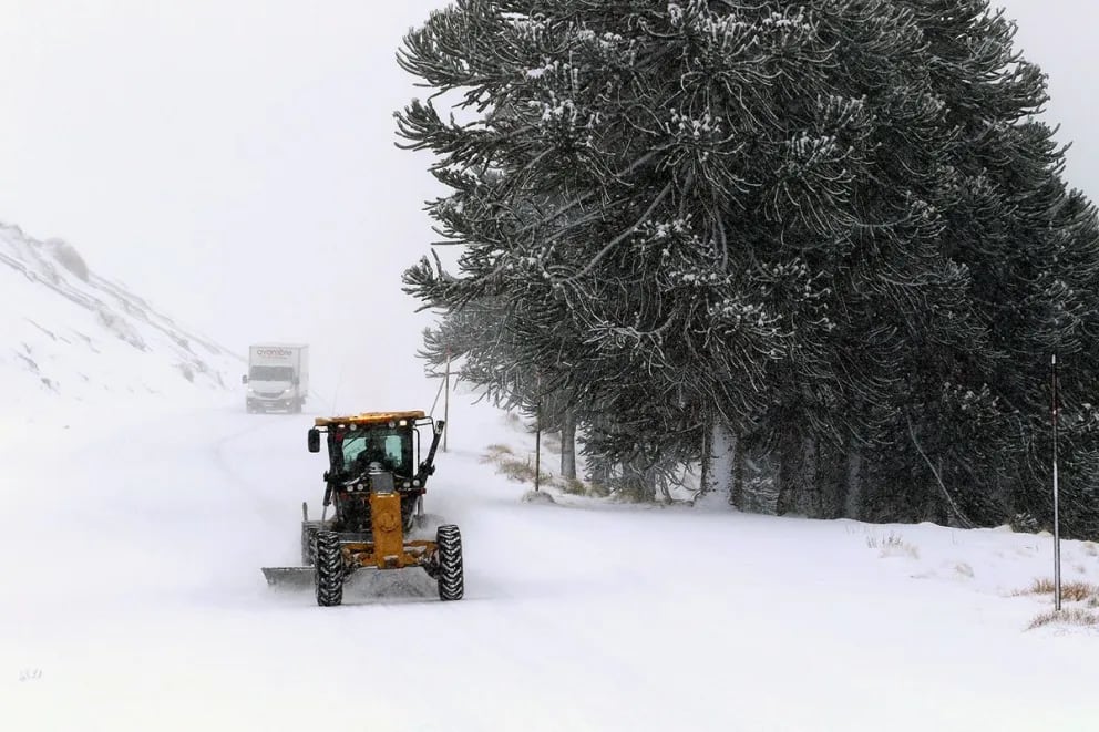 Emergencia vial en Neuquén y Río Negro: un muerto y rutas bajo nieve en medio del avance de la ola polar