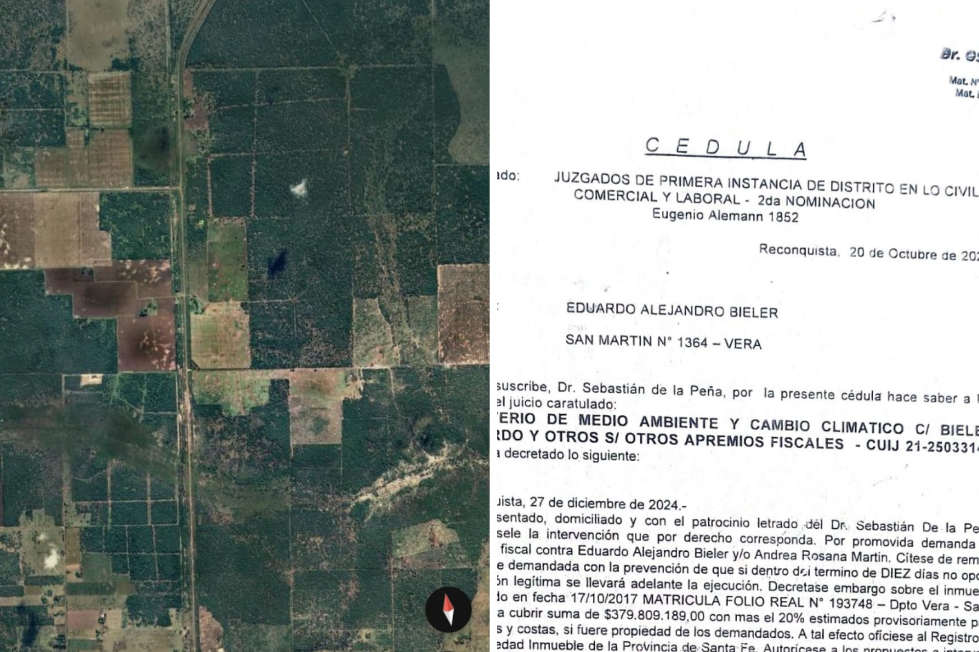 “No hice daño”: polémica por una multa de $379 millones a un productor ganadero