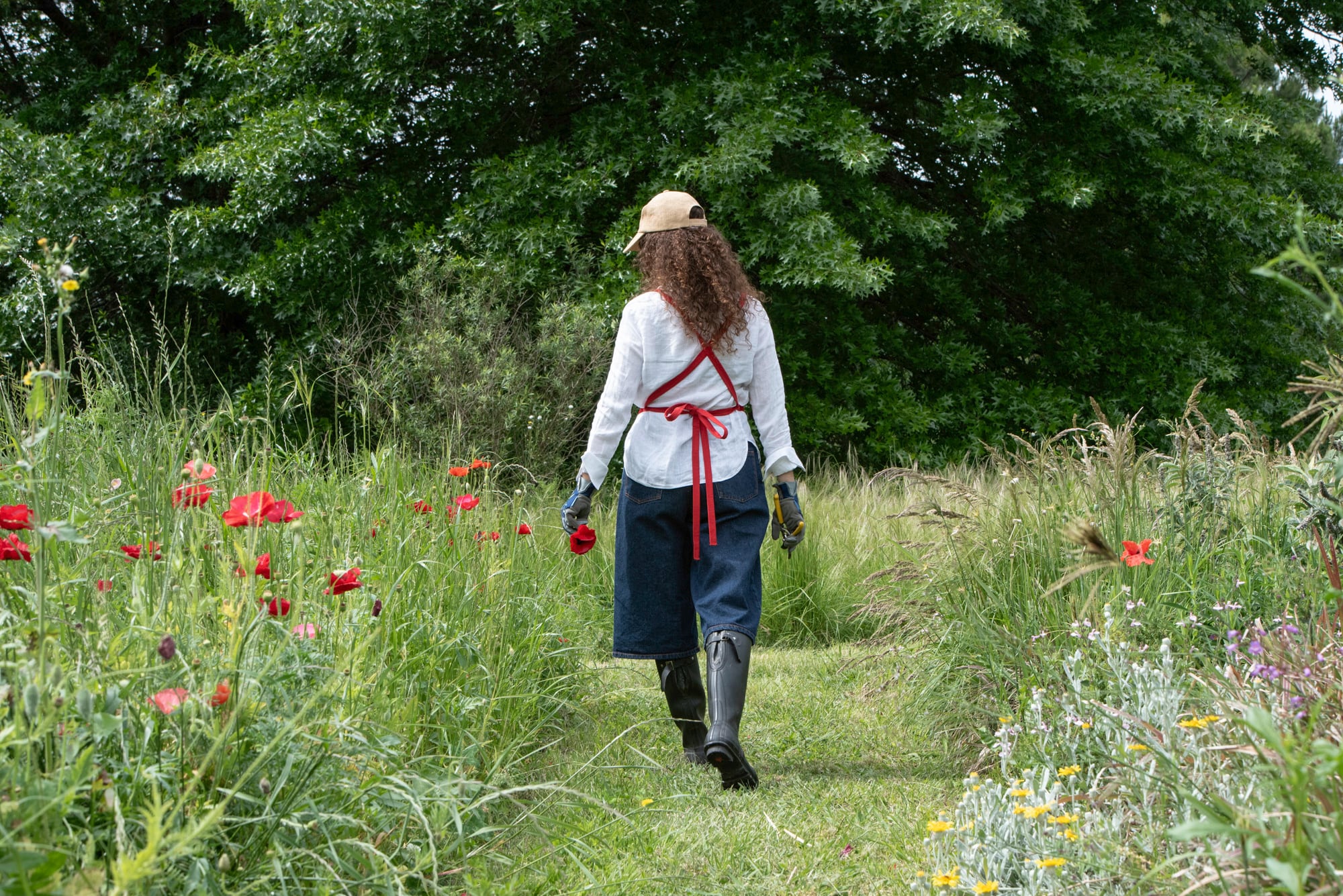 La primavera no llega de golpe: el jardín atraviesa una transición que conviene respetar