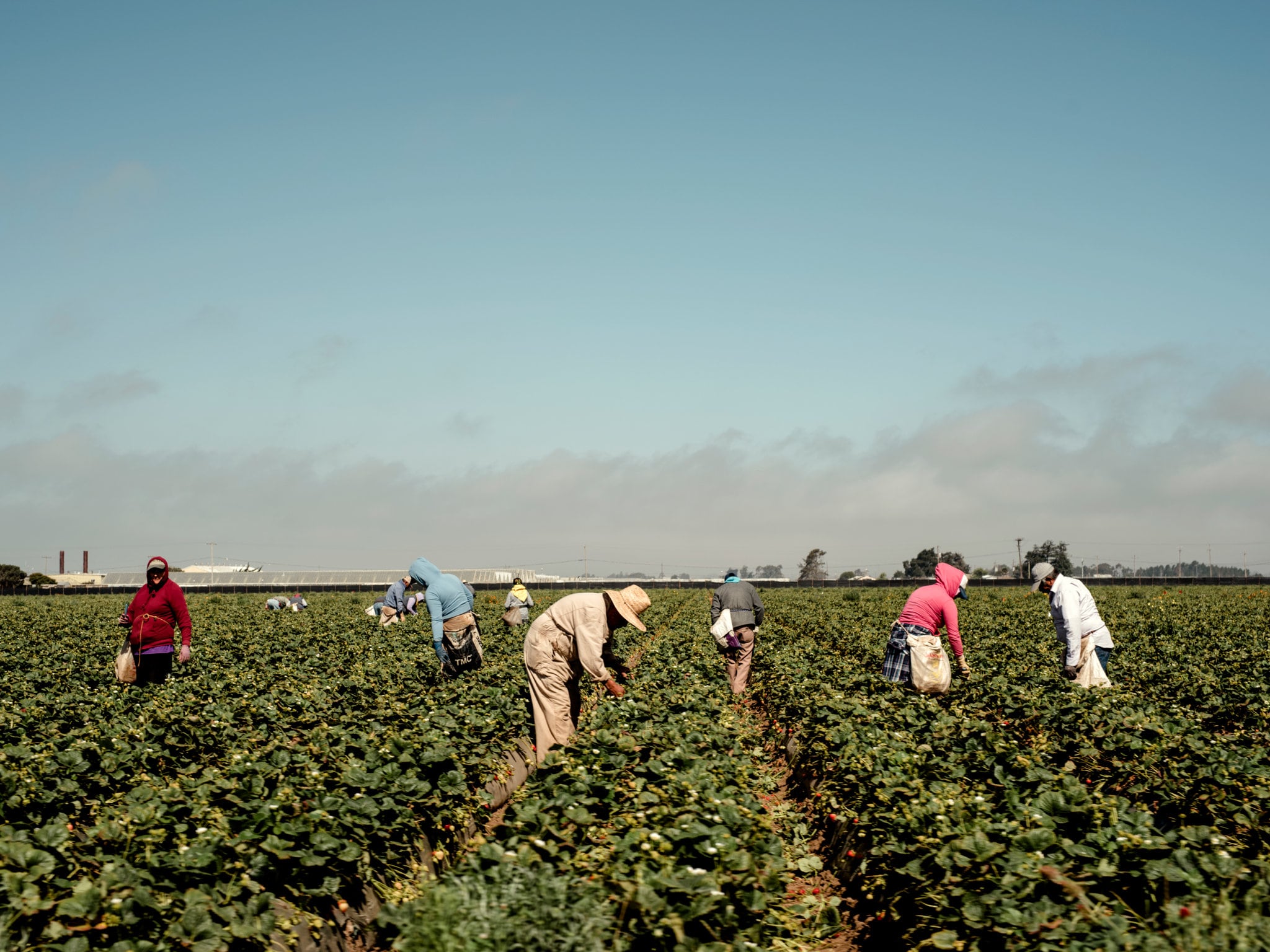 Sectores como la agricultura y la construcción son especialmente vulnerables a los operativos de ICE
