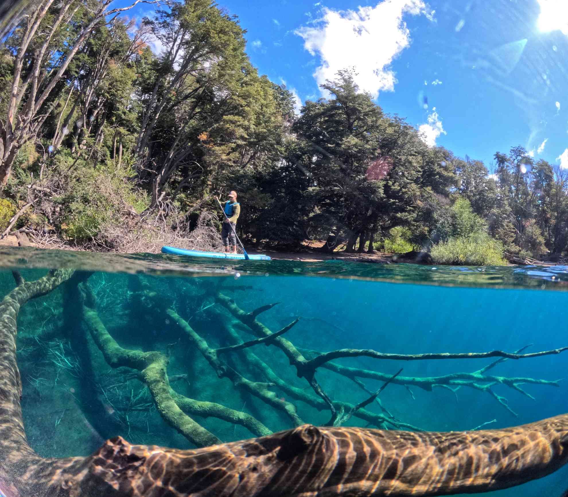 Villa Traful tiene escondido un bosque sumergido