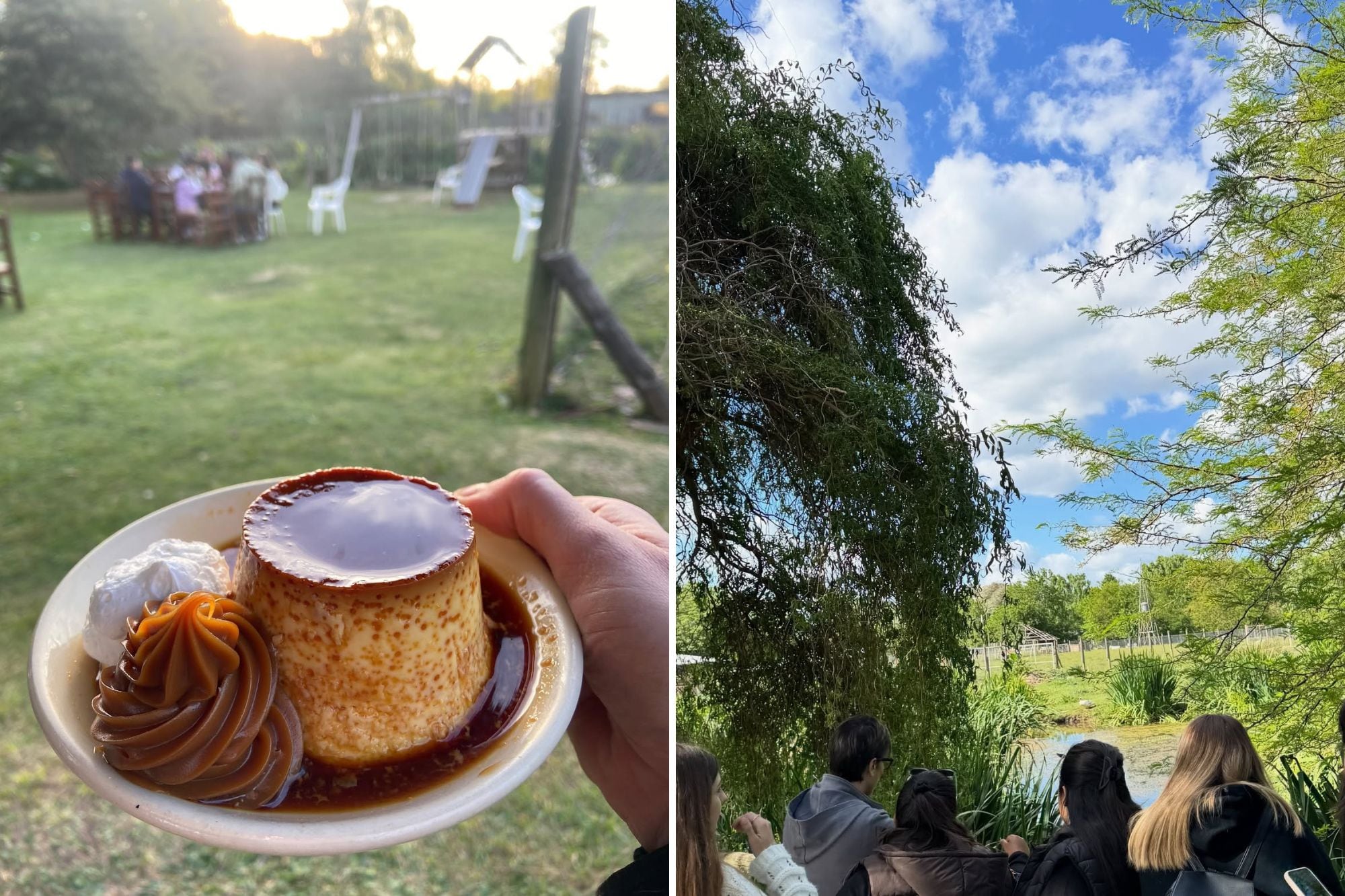 El restaurante de campo combina gastronomía con un entorno rodeado de naturaleza (Captura: Instagram @restaurantelosgirasoles__)