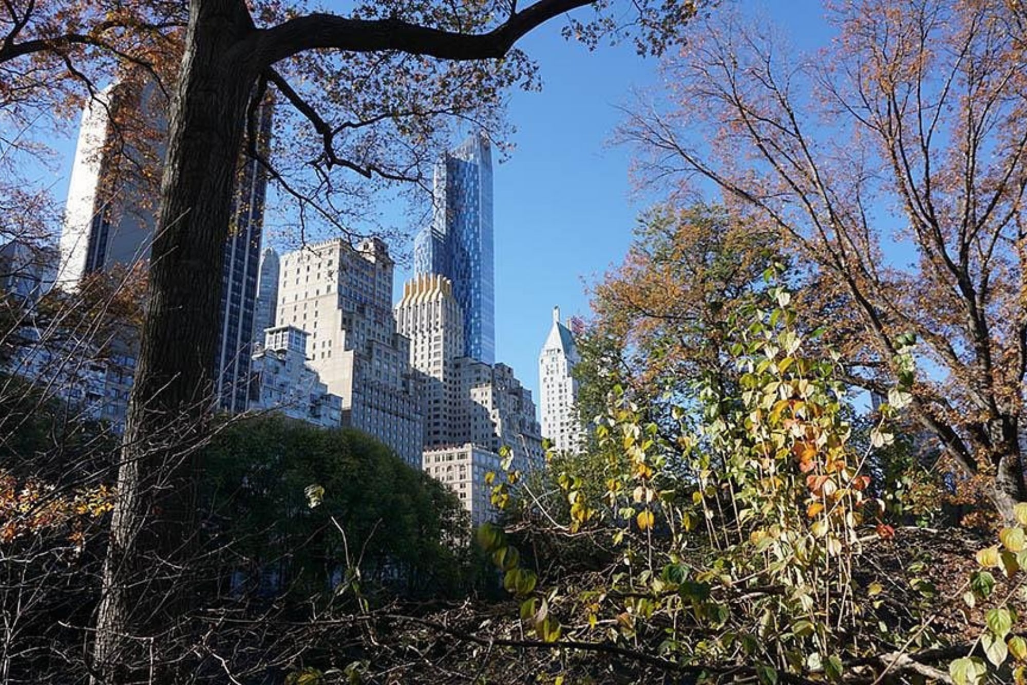 Para lograr vivir en Manhattan, la familia limita ciertos consumos y opta por actividades culturales de bajo costo