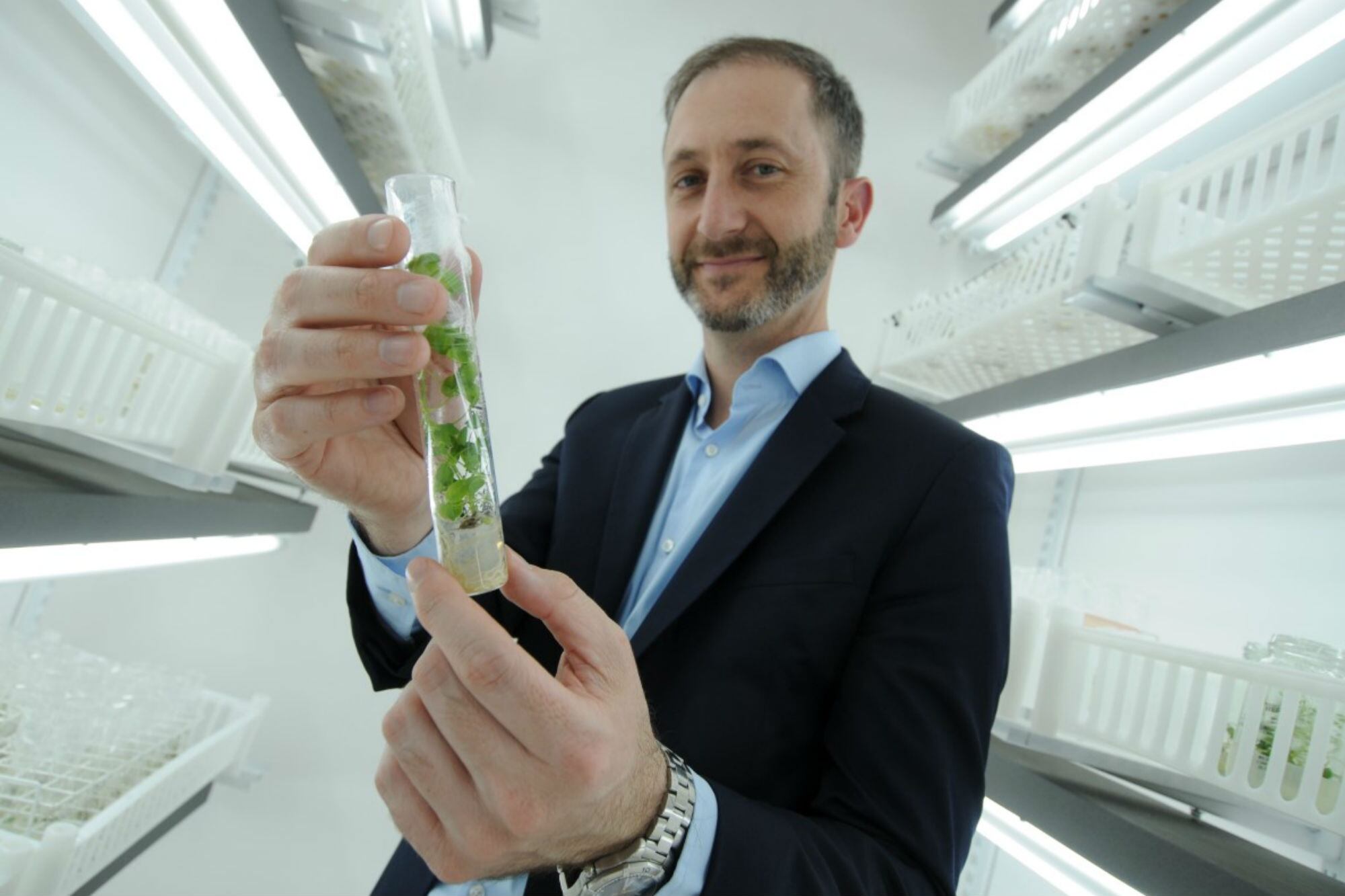 “Estamos evaluando”: Bioceres Crop Solutions tuvo un rojo de US$189,9 millones, el CEO habló de los motivos y admitió una posible desinversión en activos