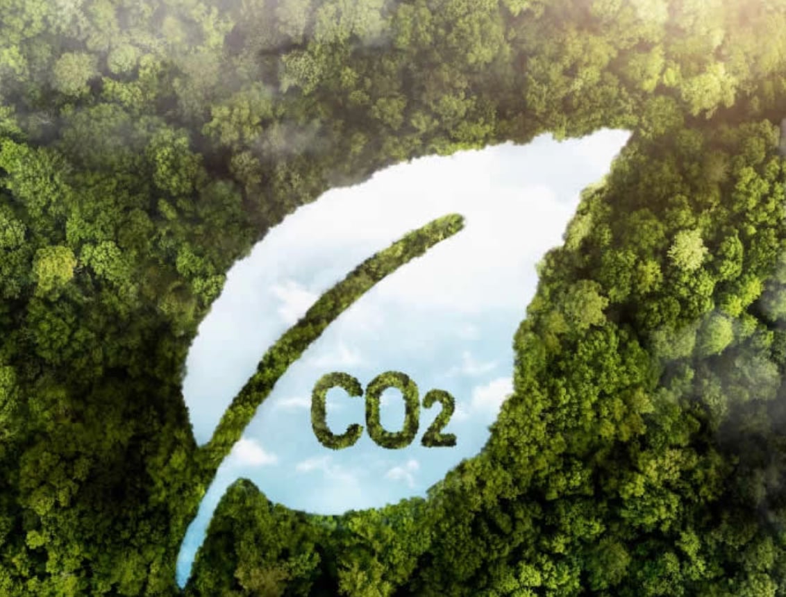 ¿Negocio verde o riesgo ambiental? Las claves de la ley de mercados de carbono que aprobó el Senado