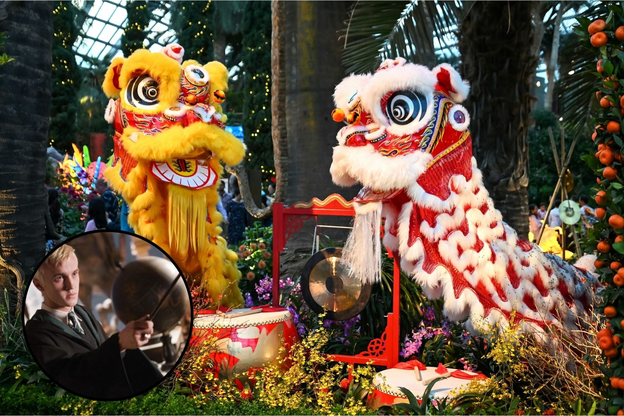 De villano a amuleto: Draco Malfoy de Harry Potter protagoniza las decoraciones del Año Nuevo Chino 2026